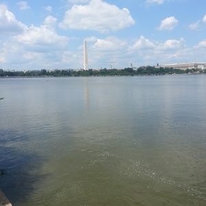 Meet your Posher, Lavar